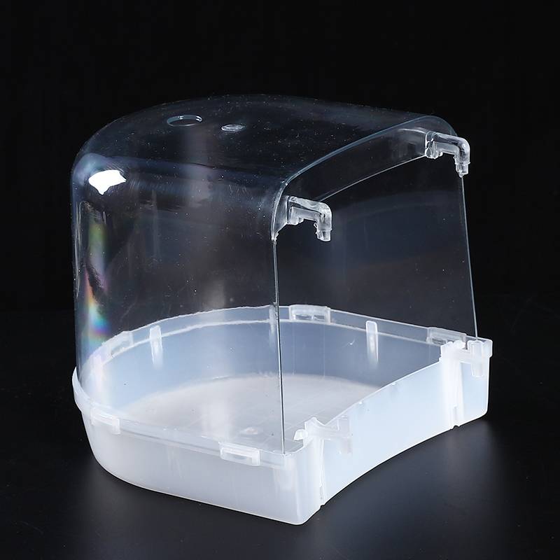It's a big, transparent color