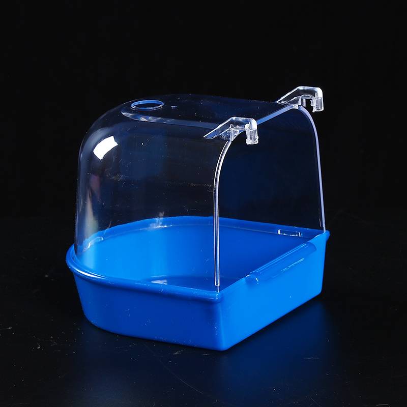 The blue cage suits the tiger-skinned little bird