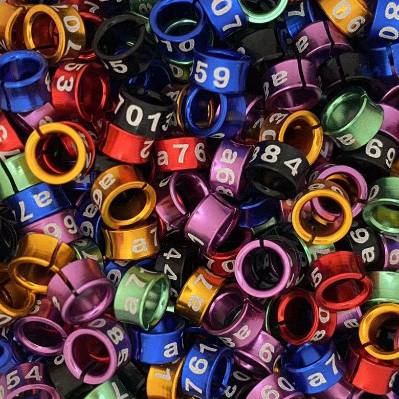 Open up 100 random rings