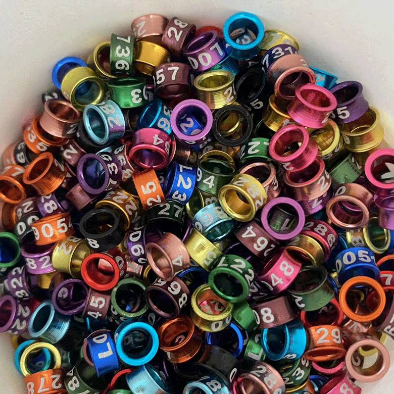 Quiet, 20 random rings