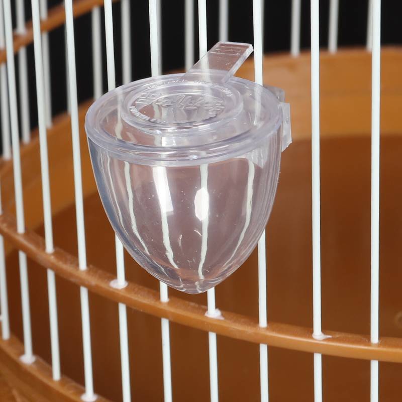 A little bird cup