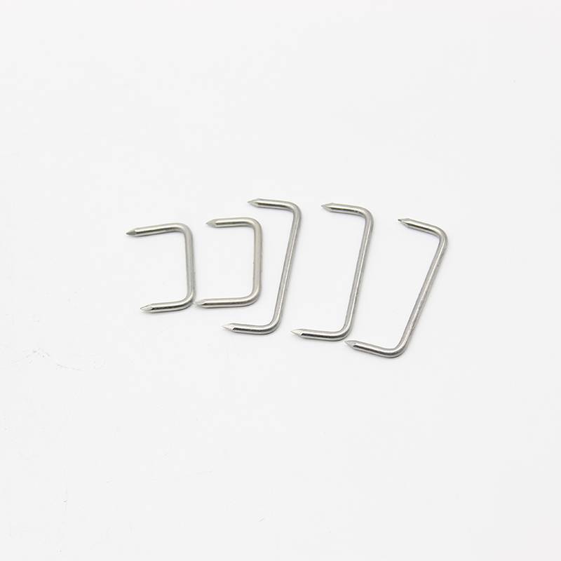 304 Stainless Steel Revo Nail/Daging/Nail/Ship Nail/U -shaped Horseing Nail/Building Large Iron Nail/Horse King Nail