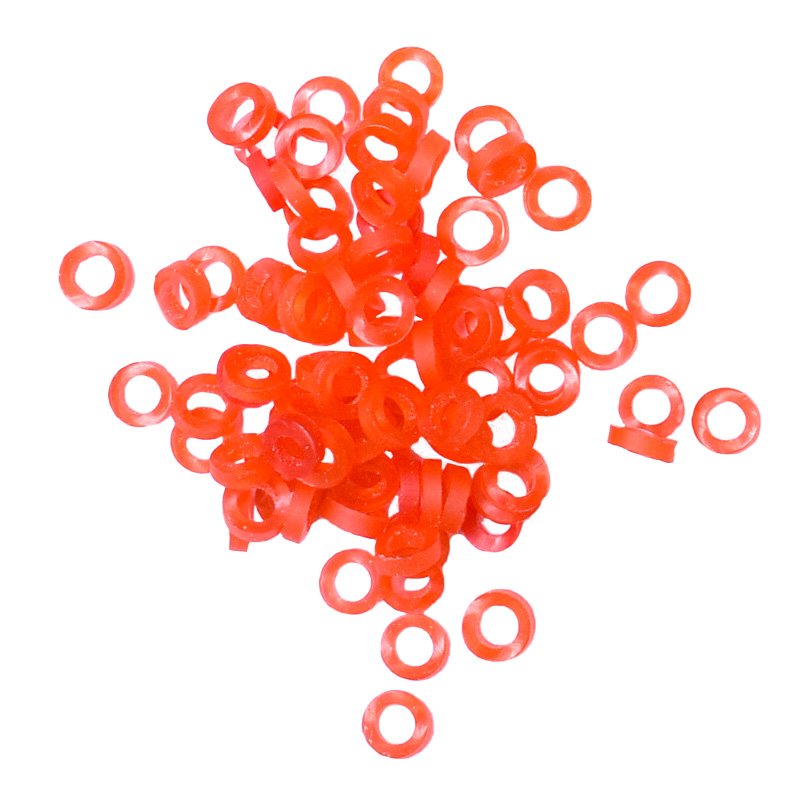 Fast-to-eat vermin vermin with baited red vermin pelvis rubber bands and fishing gear props