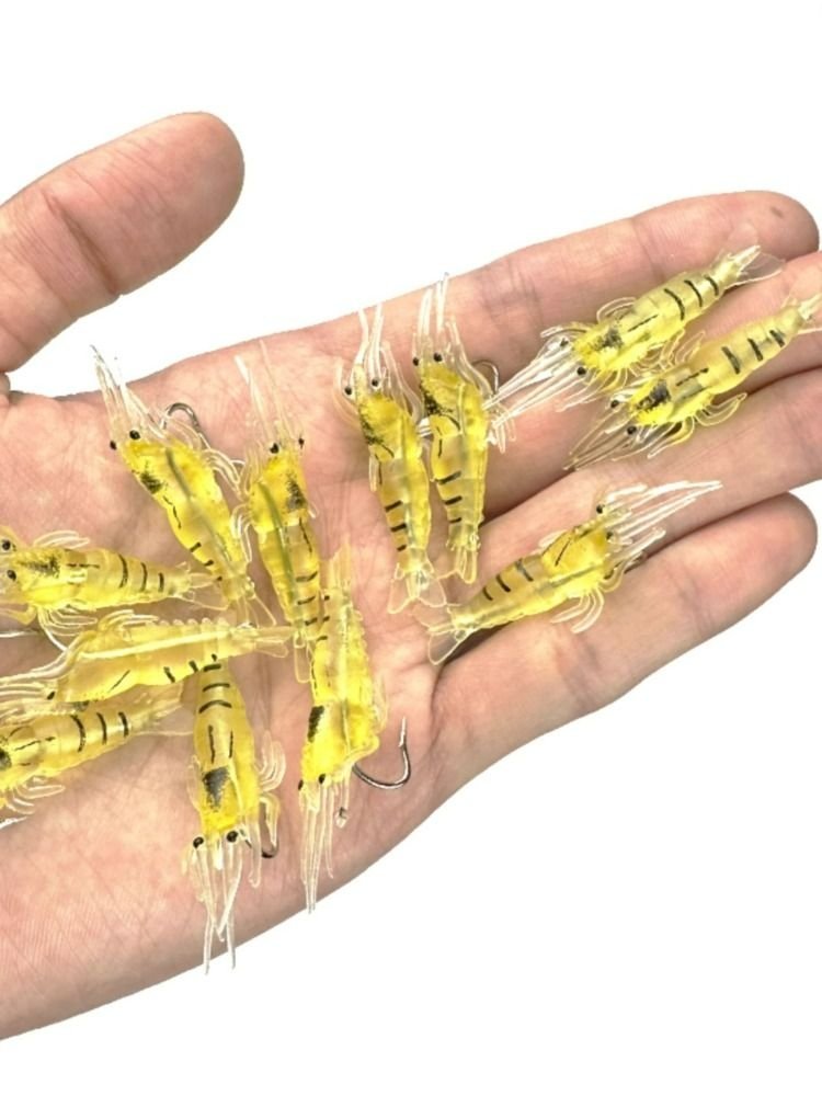 nightlight mimics a soft bait belt like a mollusk mollusc
