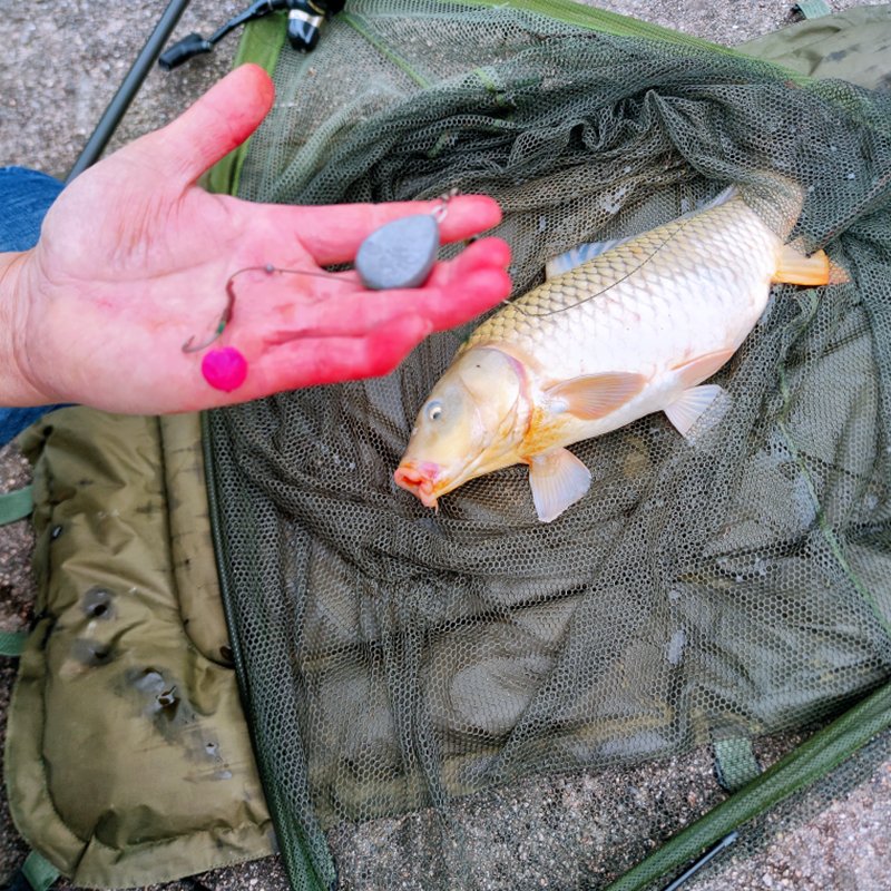 ♪ O'Keals fish high-protein nutrient-fluorinated baits micro-floating ♪
