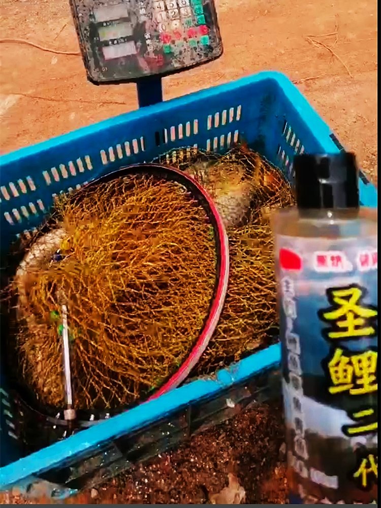 One bottle of a black pot of boulder from the Sixth St. Wall's second generation, to get the additive bait formulation for the real fish