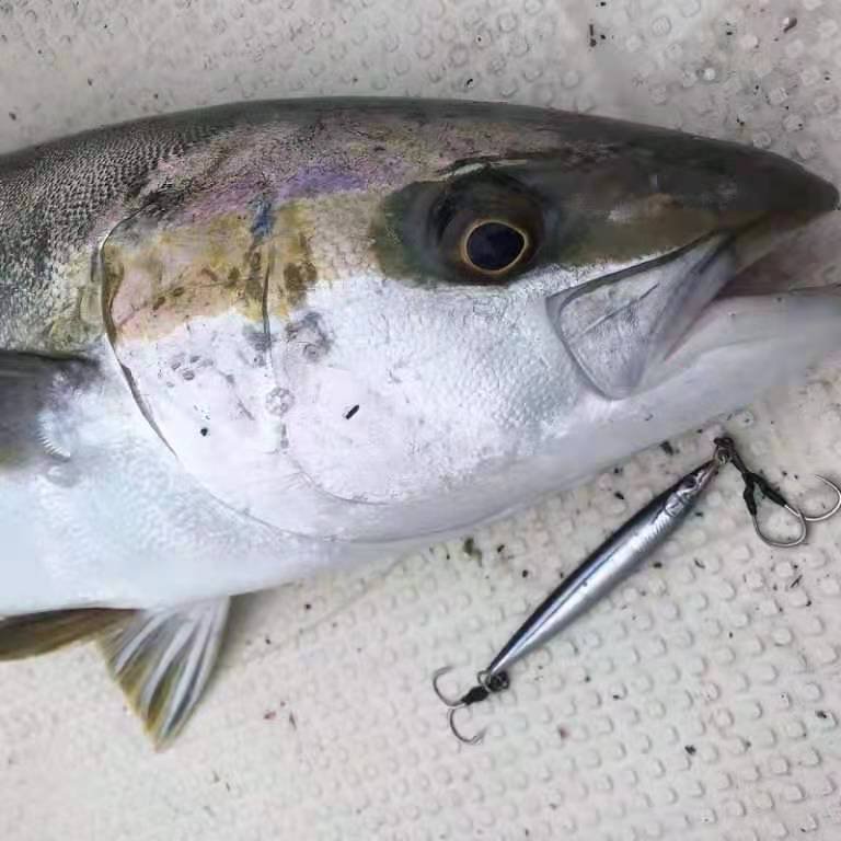 japanese little jack, little jack 125g 150g iron-board bait, boat fishing, mackerel, shells, mackerel