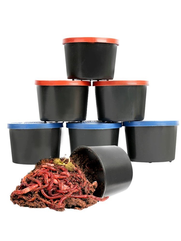 The worms grow the saplings, and the squirts fish, and the red insects in the bulk