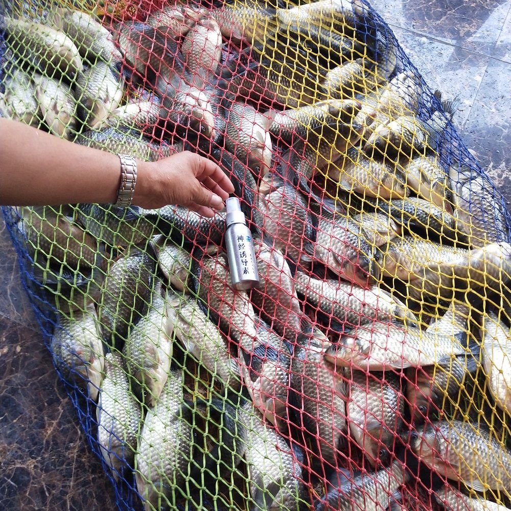Speculation neurological incipient black pits, bait for scavenger carp formulation