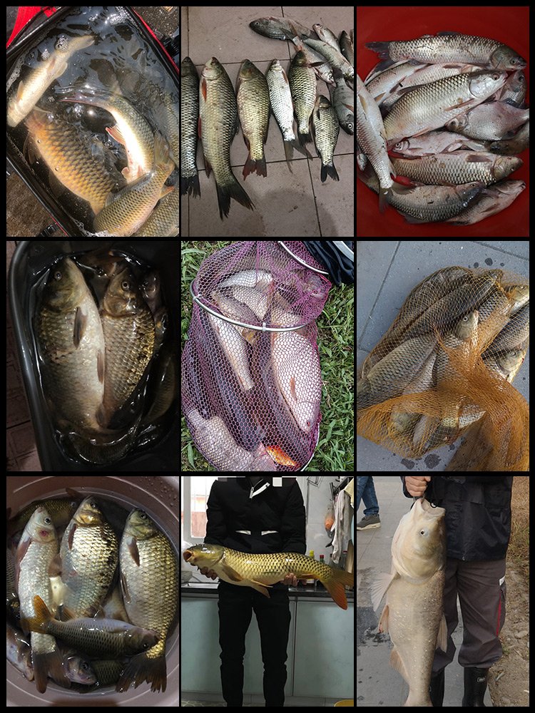 an old g-grass-grassed slab-to-tassed hooks for bait poles