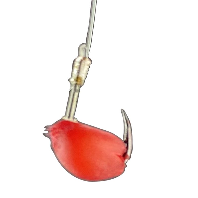 The rheumatoid bait, the plumfish bait, and the plumfish bait, the guacamole bait, are used to protect the guacamole
