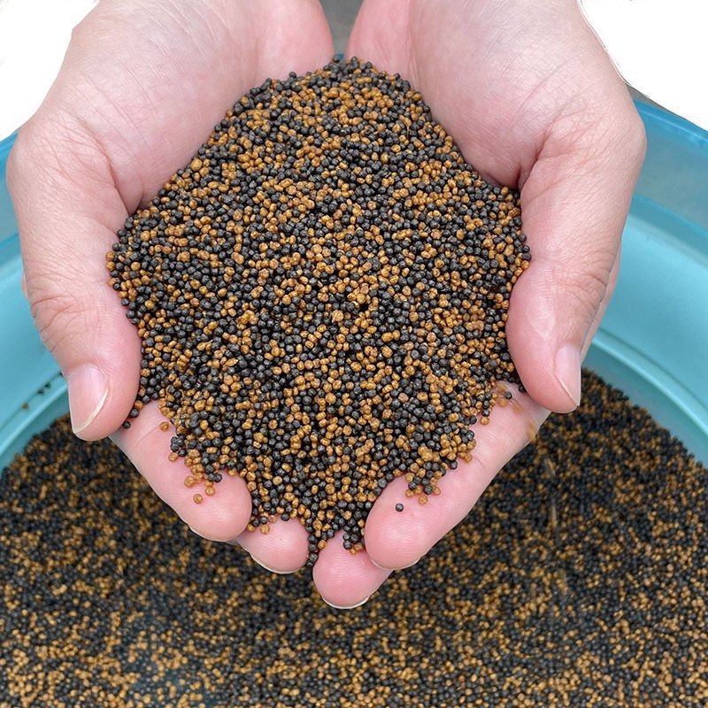 Black gold and two-colour bubblefish baits back to the old squirt of the squirts to steal donkey baits and squirt beans to fight for bubble-resistant water particles