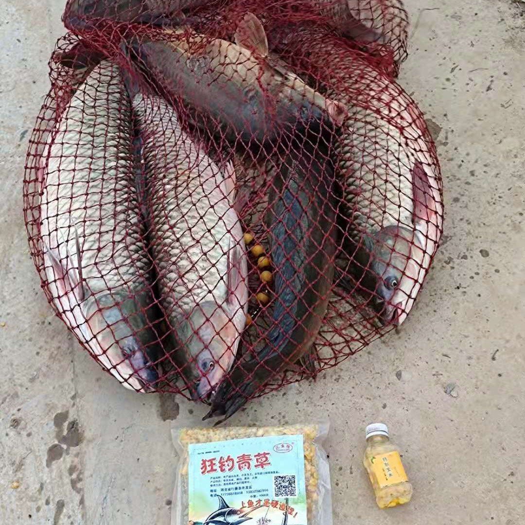 The little ducks make a big, big-coated bait for the scavengers and the carp
