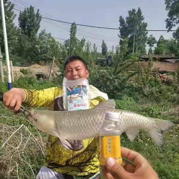 The little ducks make a big, big-coated bait for the scavengers and the carp