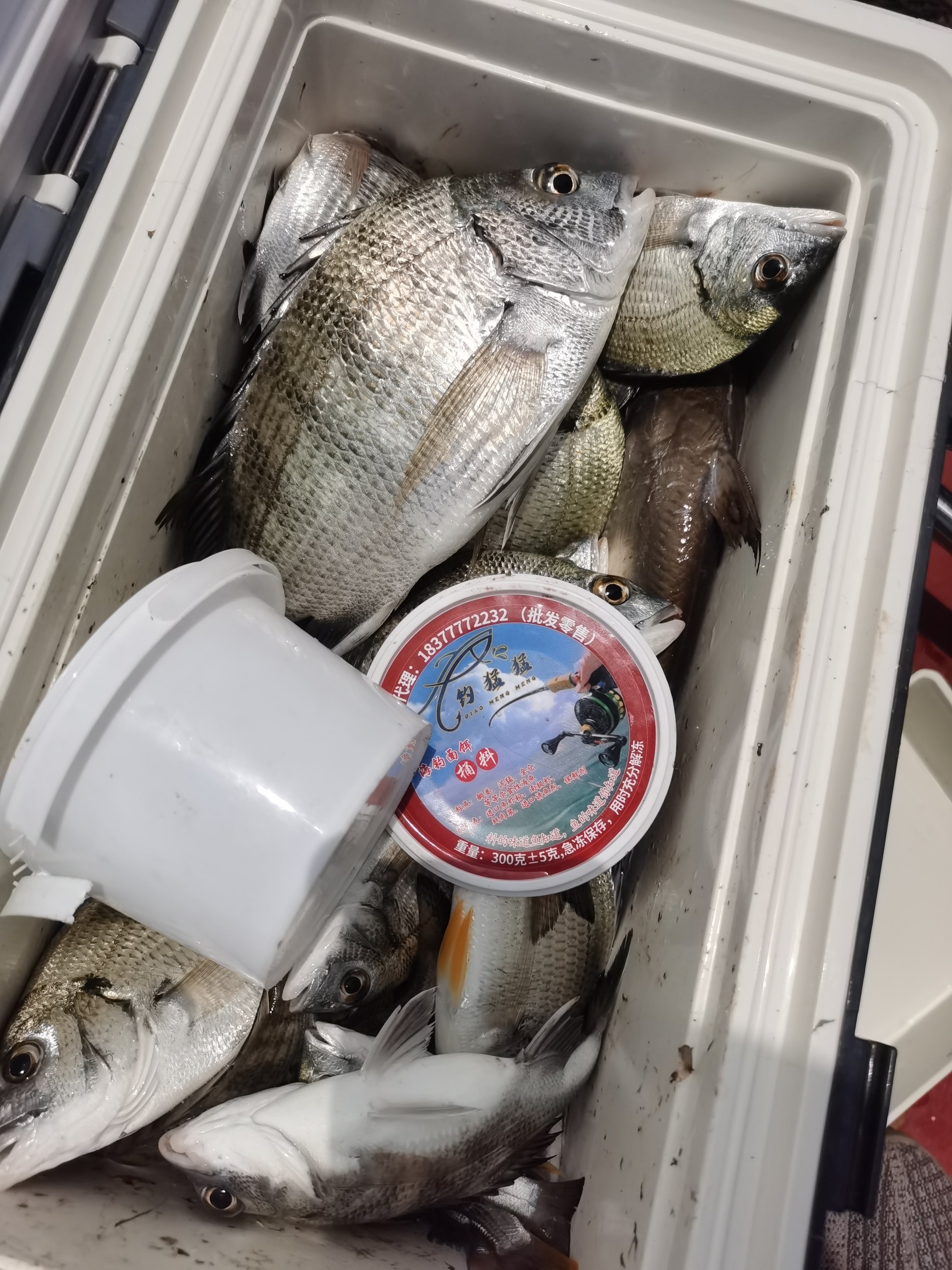 Fish, fishing, explosive bait