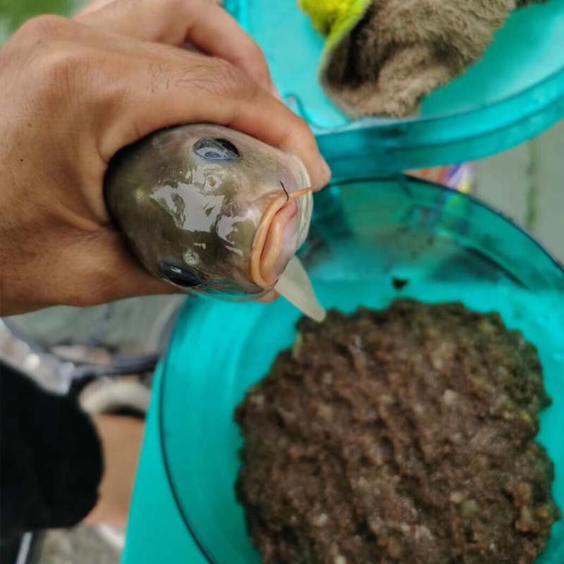The male baits the new brown rice-coffee shrimp and the winter baits the carp baits