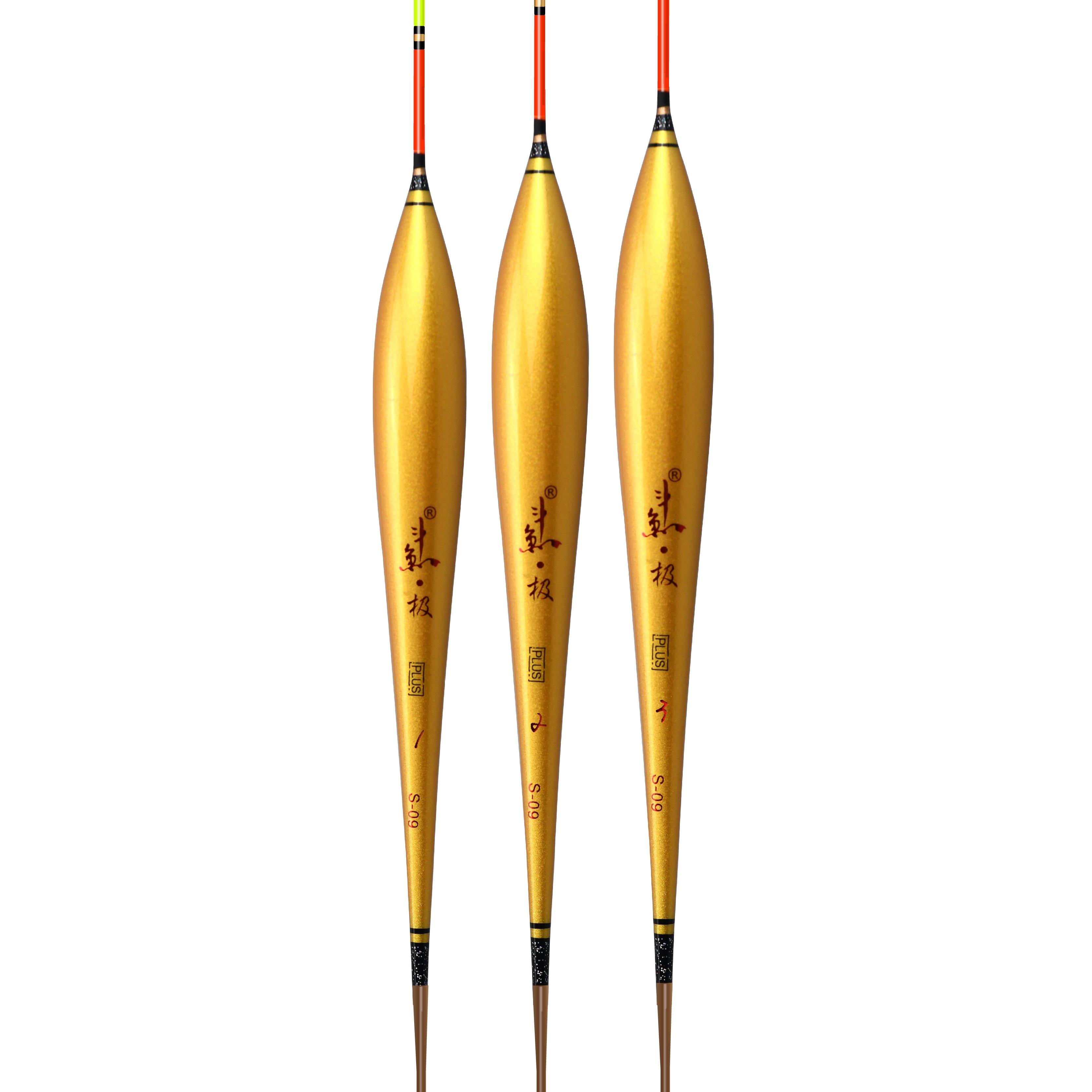 S-09 POINTS CLEAR AS A BLACK PIT CARP WITH A THICK TAIL