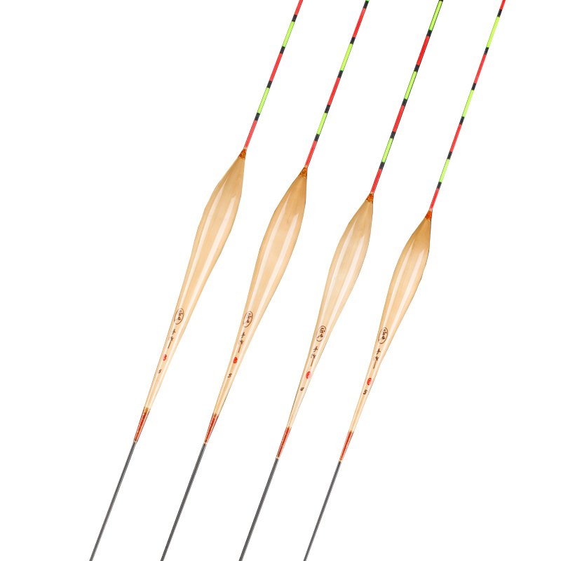 Reeds floated hand-to-hand fish drifting in a light sip of fish drifting in a sensitive black pit of fish