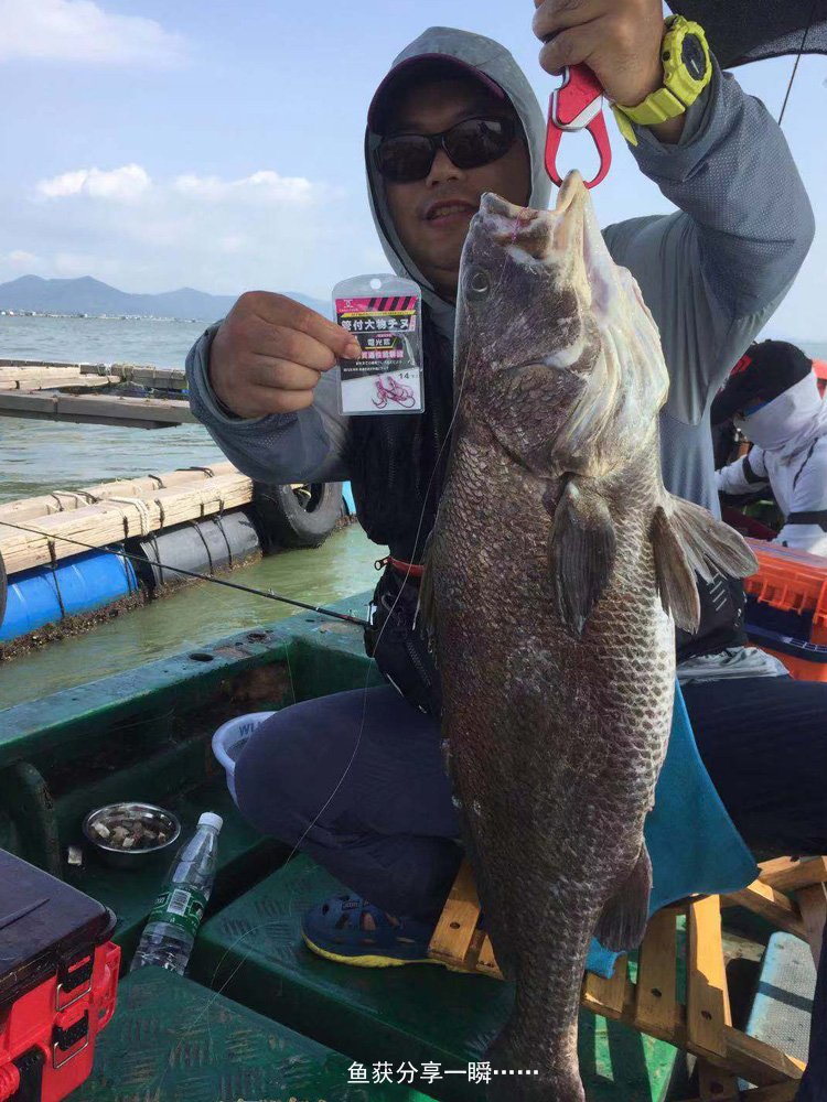 The superbar line pays for the big stuff, and the fish hooks have stings and bands, and they're fishing around the sea
