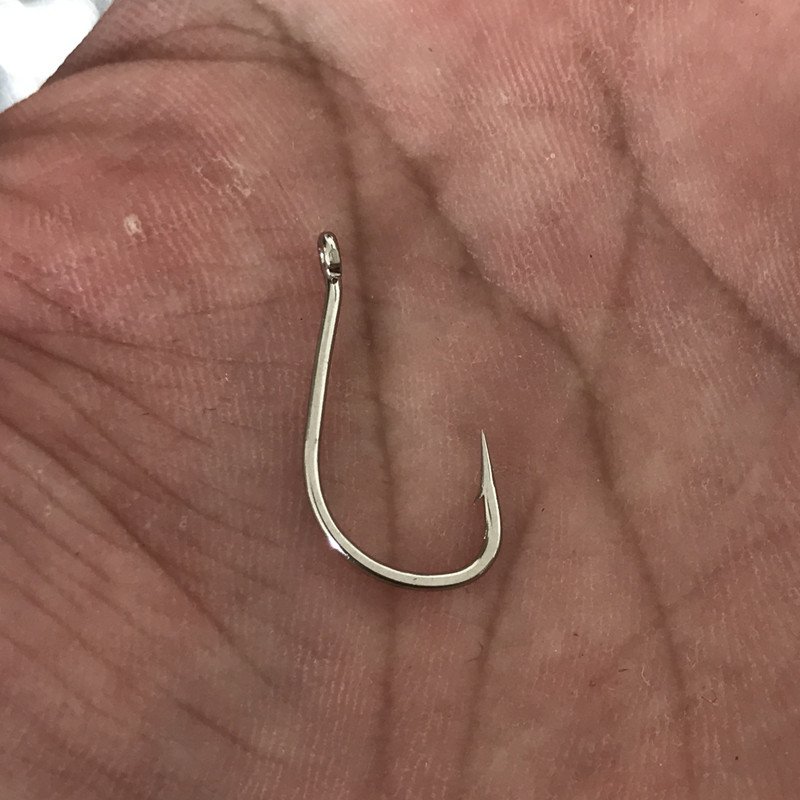 Bringing a coil to catch a silver and white fish hook and a raft of corn hooks to mix a herb with a carp hook