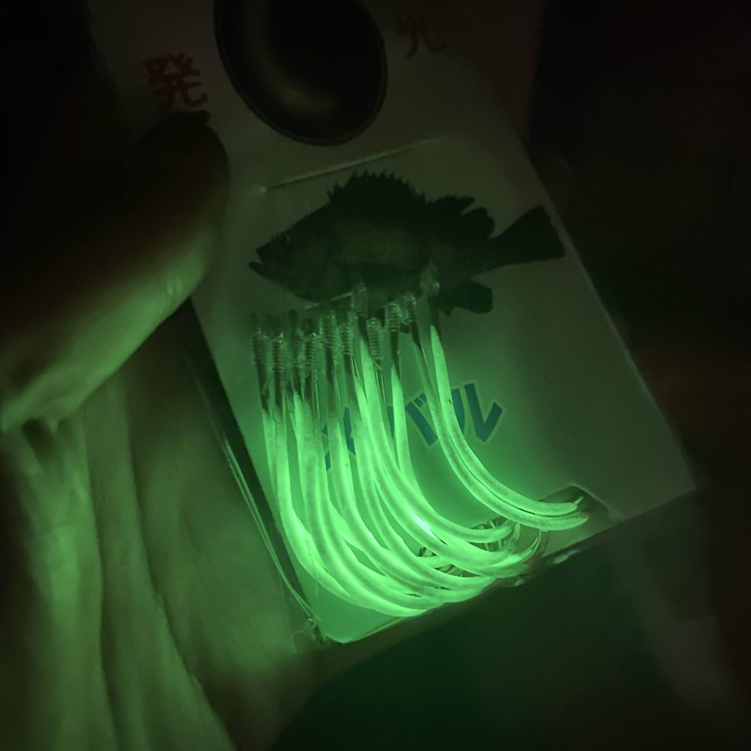 With wired wires, nightlight hooks to a fishing boat to catch a yellow-goose white-goose, black-head fish to catch light hooks