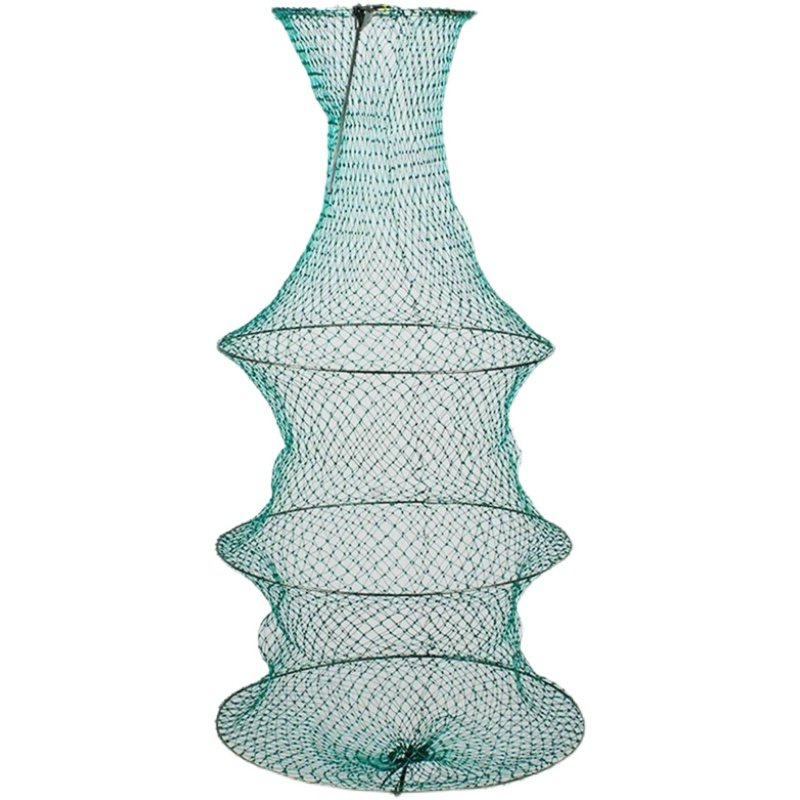 Squid fish in a three-story corset of corset fish, and a little corrugated fish bag