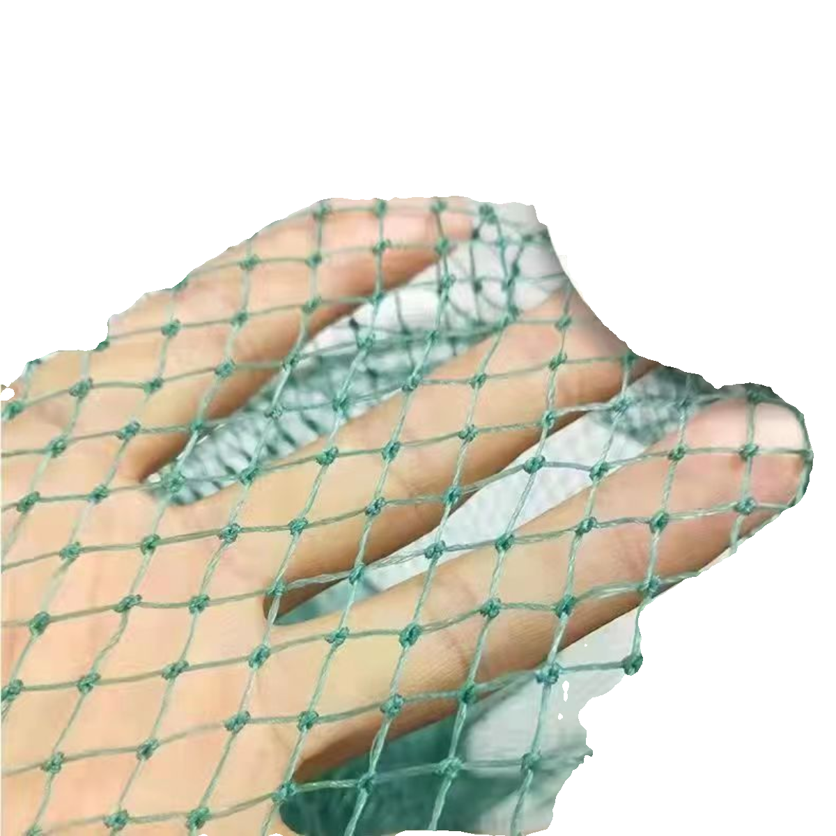 I've got a small calibration of a corroded, soft-skinned, soft-wire-wired eyefish for a folding, hand-weaved, dry fish net
