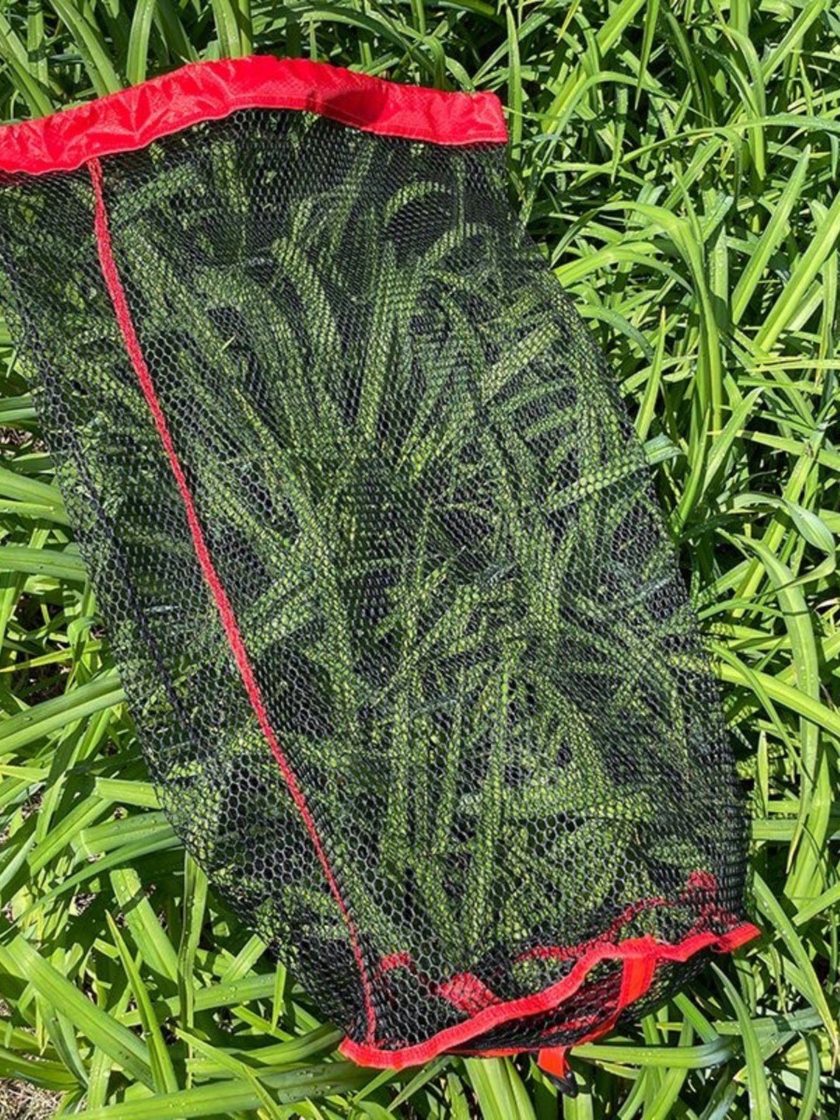 With a thick folding of grain and wheat, and a wild-fishing nano-truck-and-truck bag full of nets