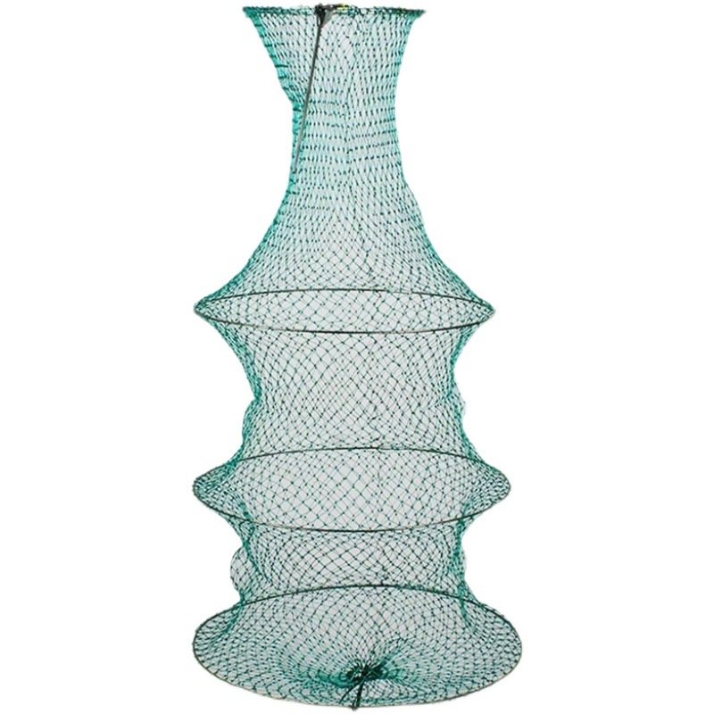 Squid fish in a three-story corset of corset fish, and a little corrugated fish bag