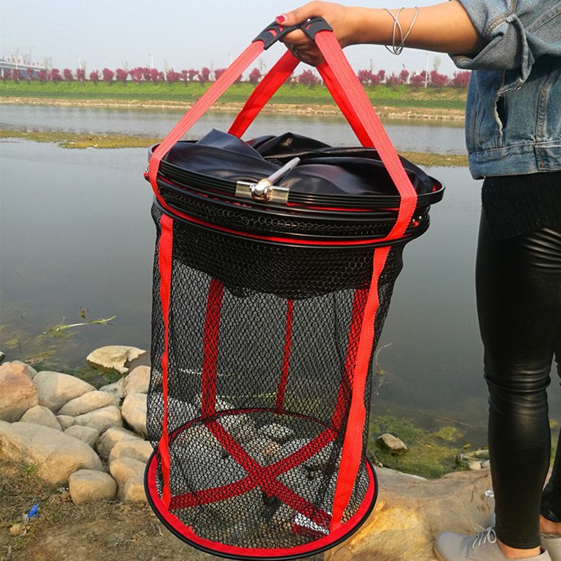 New money for flying with thick fish to find a net of fish by the nanoplugs