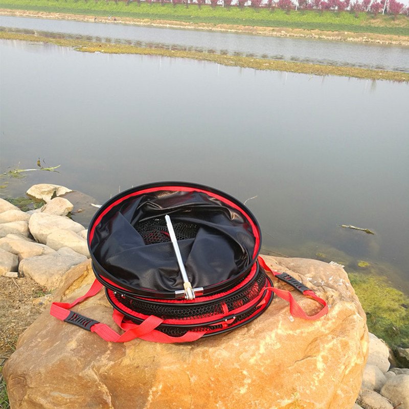 New money for flying with thick fish to find a net of fish by the nanoplugs
