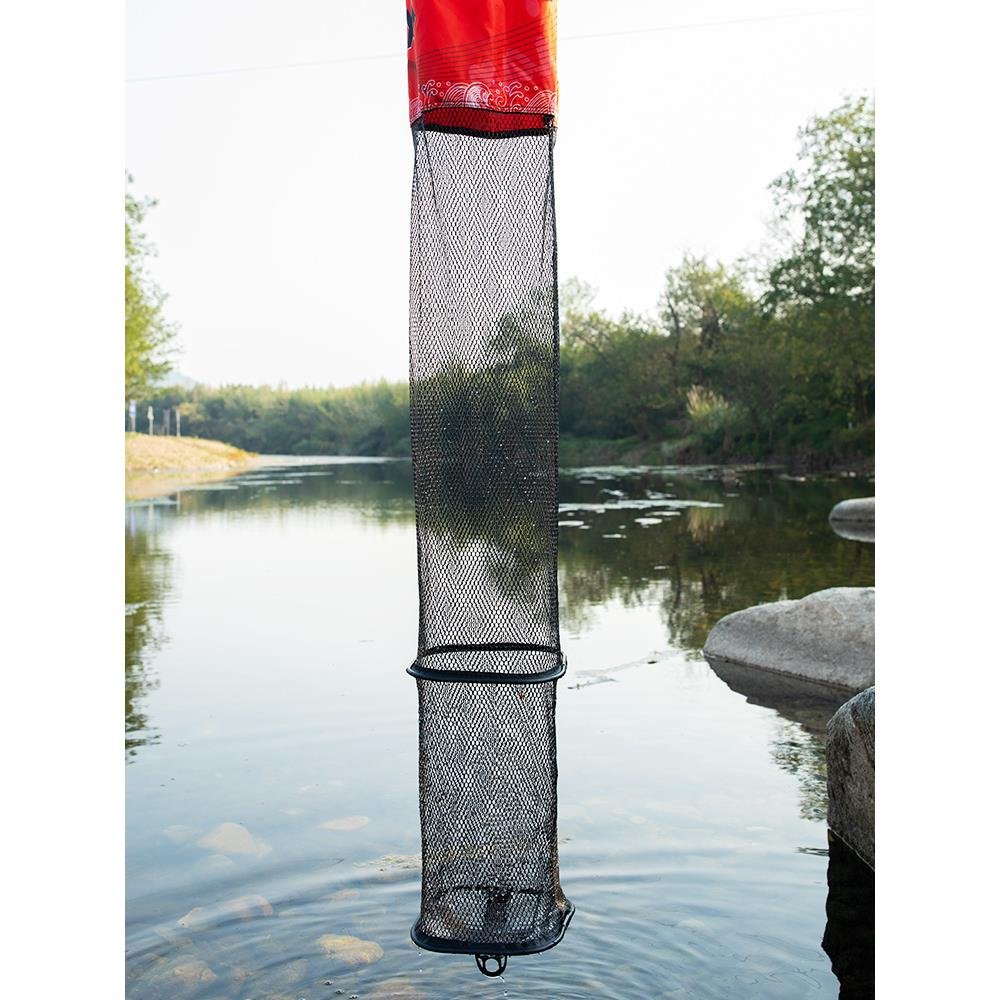 I've got 2024 squalls for the mini-fish