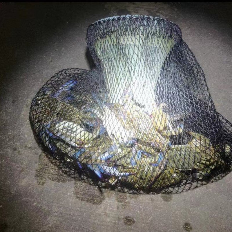Handicraft 304 stainless steel in a diving net and a fishing net to protect the little neteye