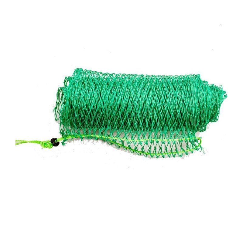Little Eyefish, 18-squad-wire-wire-covered-wire-wire-covered-fishing-fishing