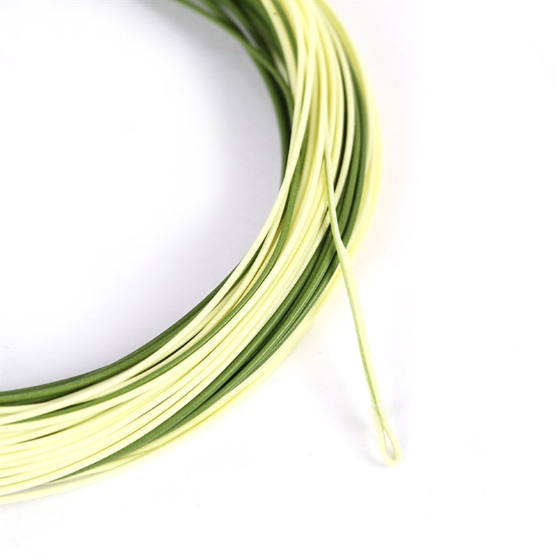 the light stream line, the fly-o-fish line, double-coloured water before the weight of 123