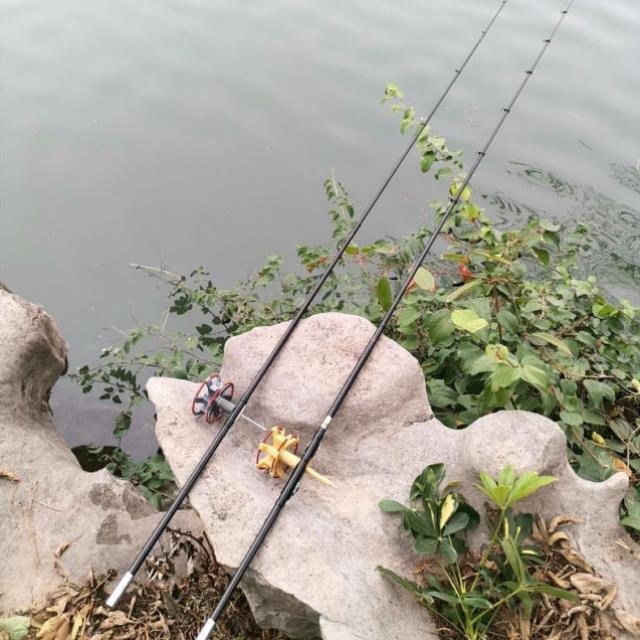 A fishing pole, a carbon pole, and a wheel pole