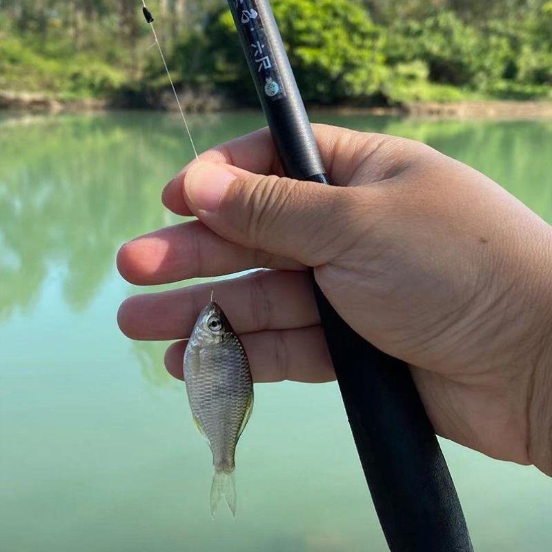 The wild-fishing rod, the small chute, the 37-to-tempo pole, shrinks by 26 centimetres of carbon stream