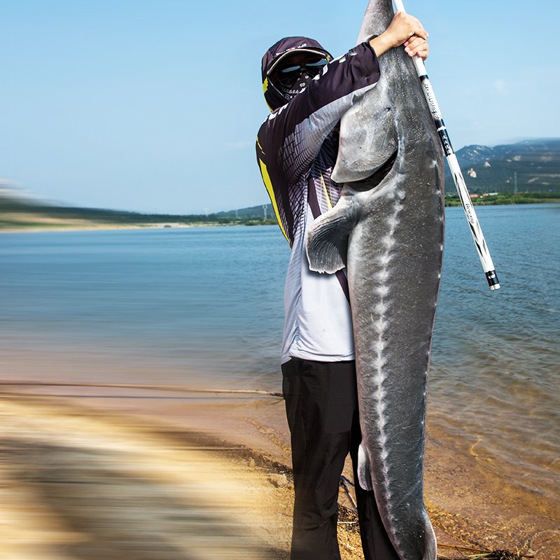 han ding, the sega fishing pole is so light and so hard, it's so light, 19-tight, big, big, big, big, black, 8-h-fish