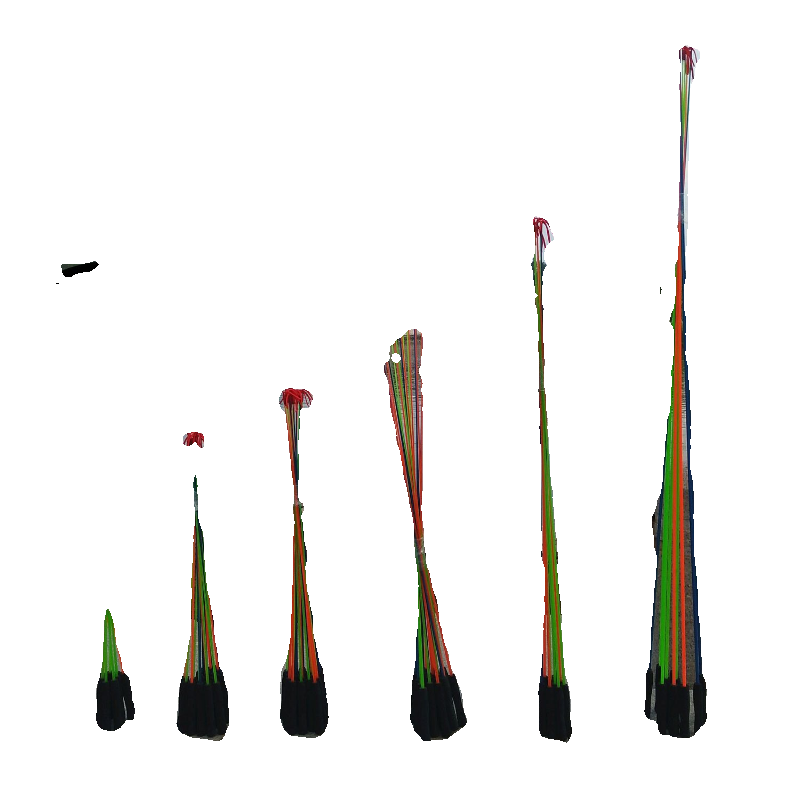 Children's shrimp rods, lobster poles, crab poles, goldfish poles, and live fish