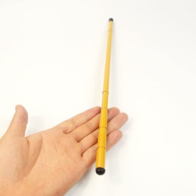 It's a tiny little fish rod