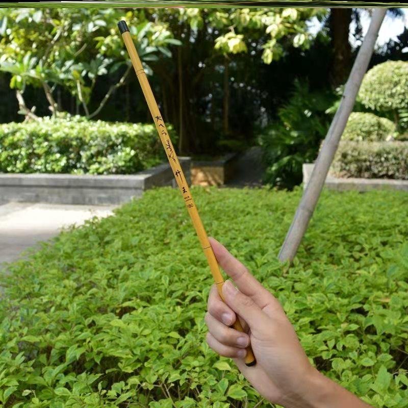 Mini-fish poles, short-end fish poles, short-term fish poles