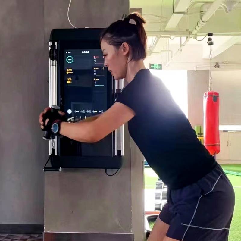 Smart wall -mounted comprehensive training device Furnishing Bird Bird Power Fitness Fitness Equipment Benchuan Squats Fitness Heavy