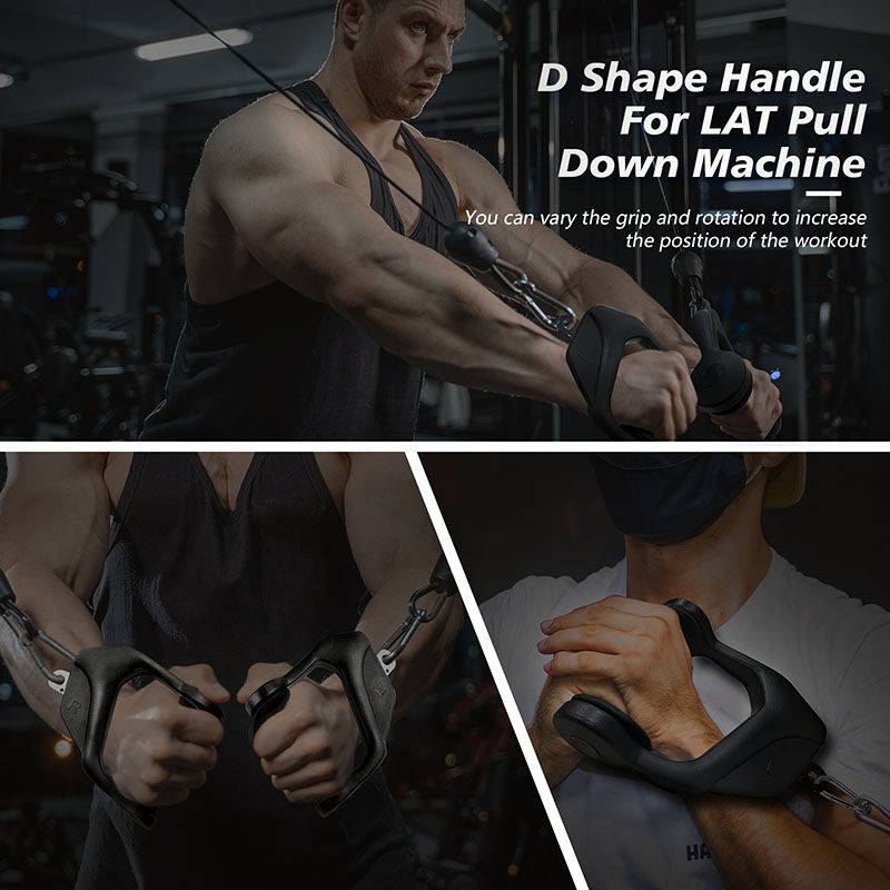 Pull your hand and hold your handle, hold your hand on the Dragon Door and train your back handle at the gym