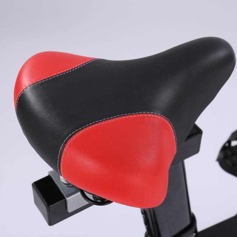 The luxurious gift-motion bike super-quiet