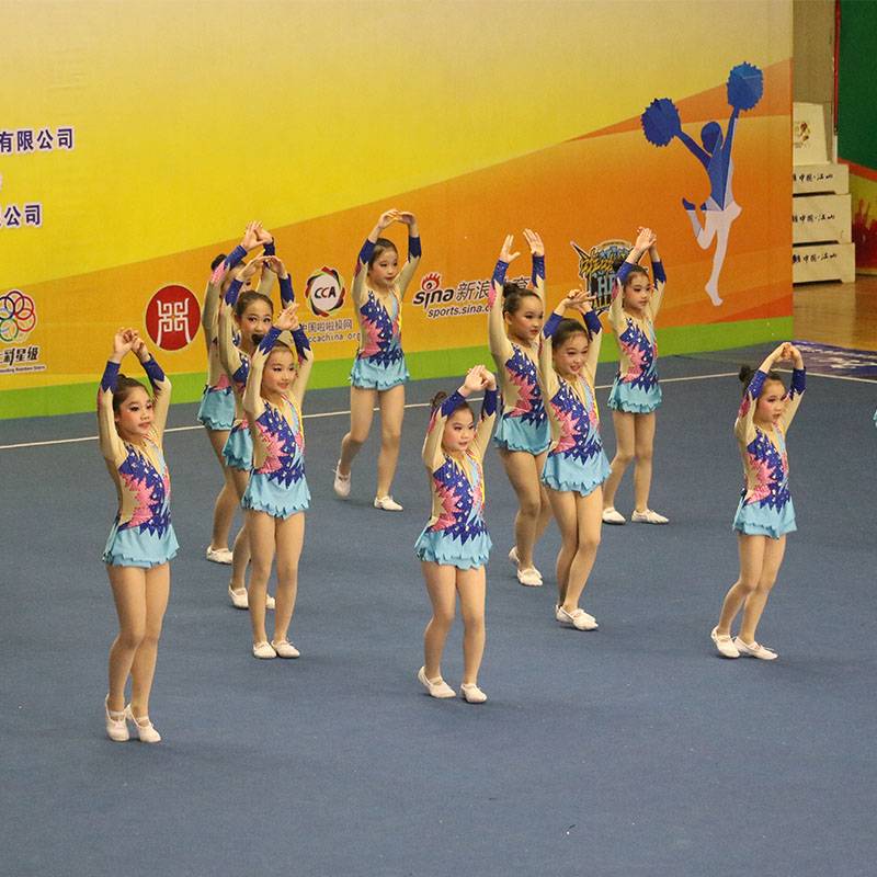 Customized Lara Fuck Clothing La Team Costume Gymnastics Gymnast