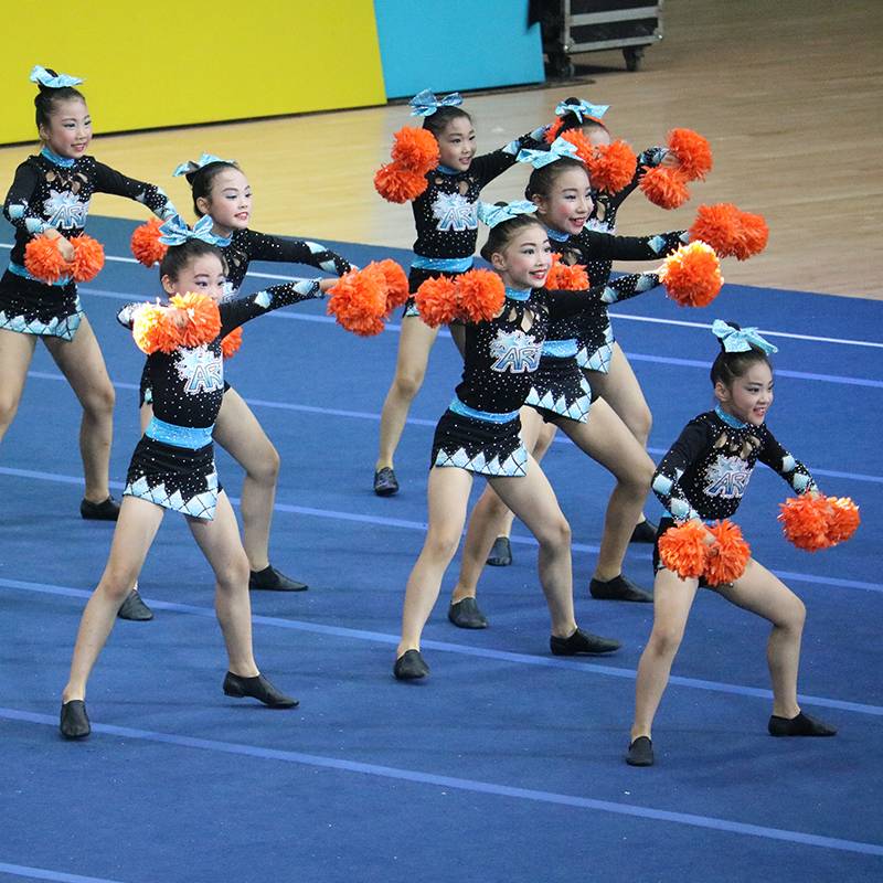 Custom labon performance clothing, cheerleading team clothing and gym costume, clothing, Lala M team clothing new 19 adult set