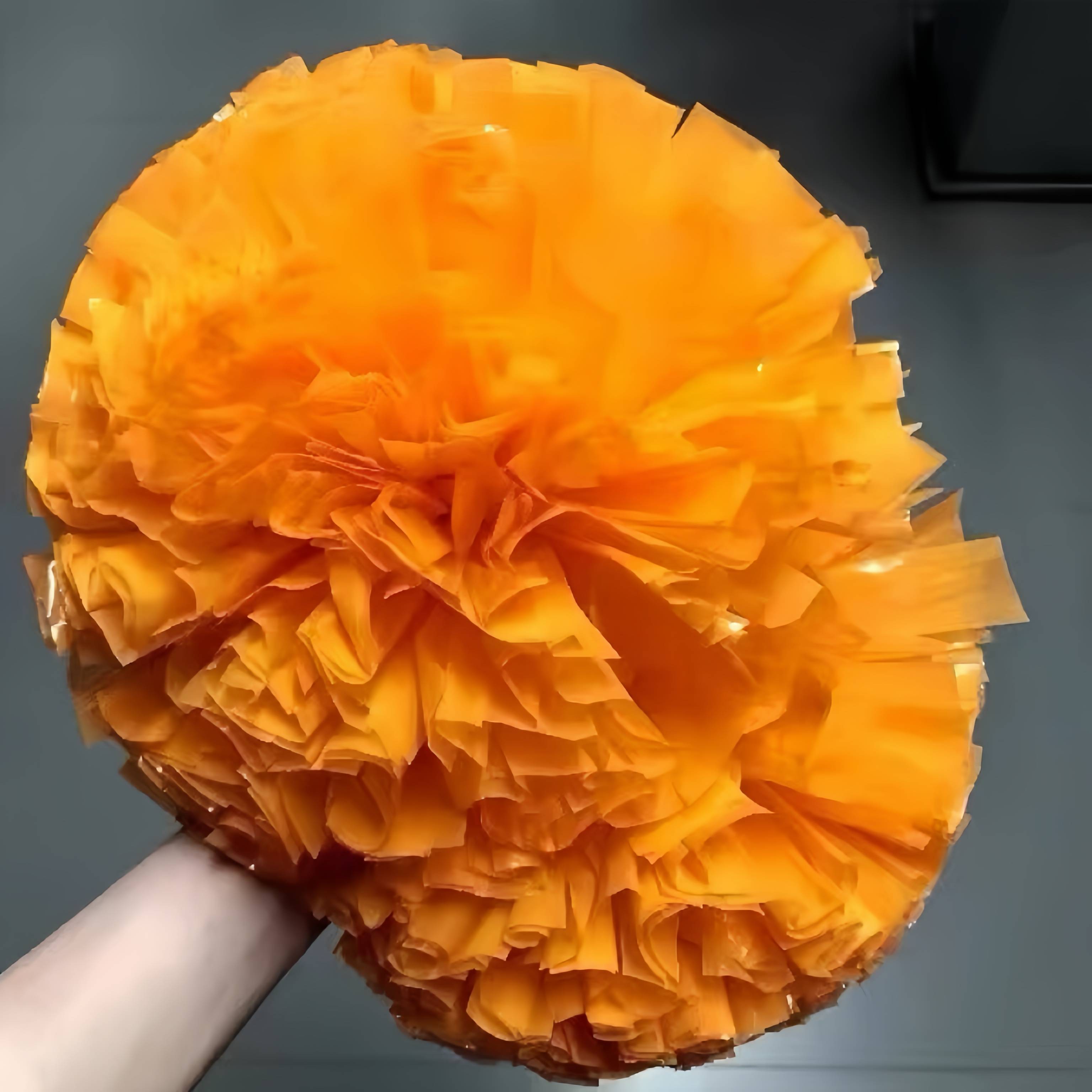 Professional game la la la la la la la la (hand flower color ball, Lala ball colorful cheerleader dance performance bodybuilding