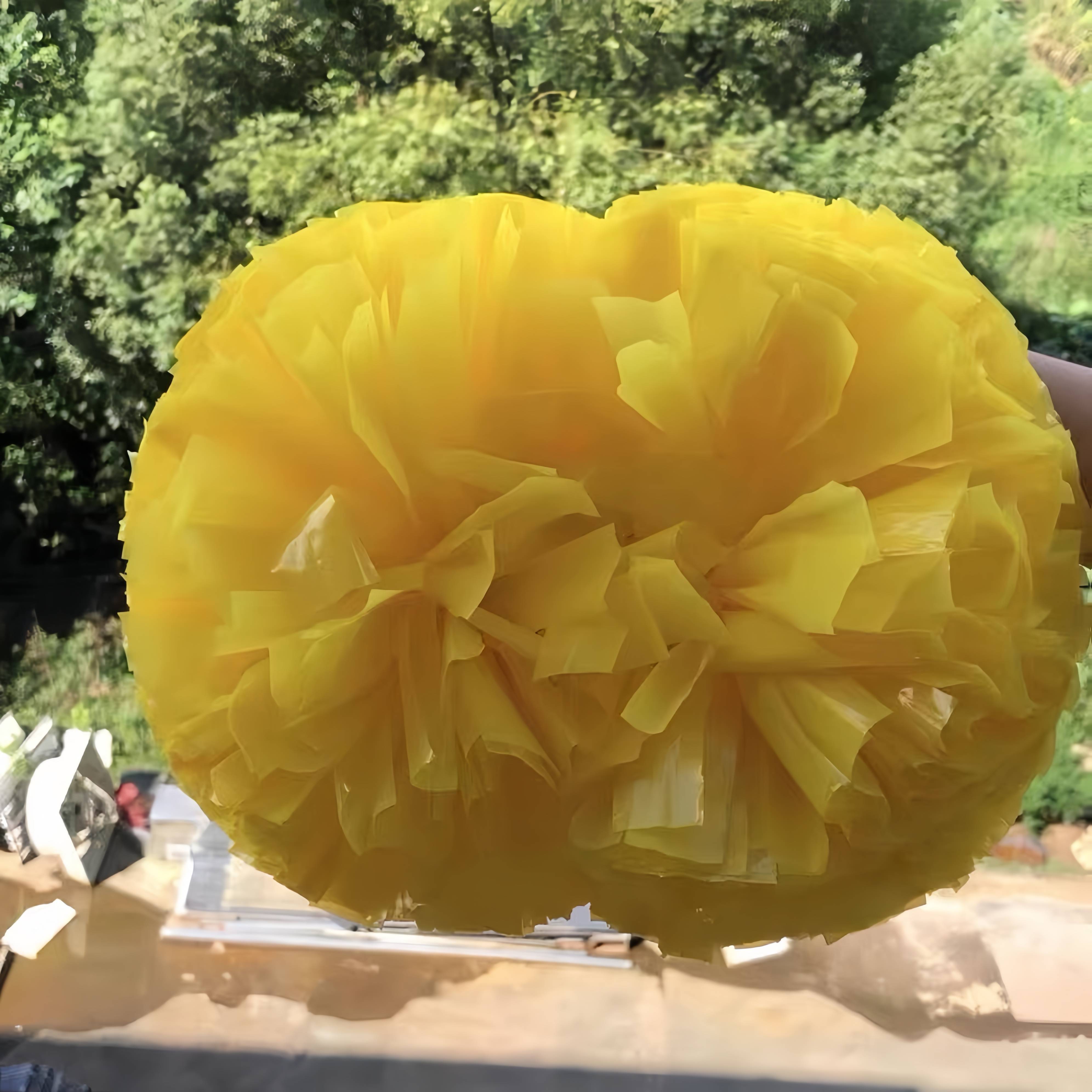 Professional game la la la la la la la la (hand flower color ball, Lala ball colorful cheerleader dance performance bodybuilding
