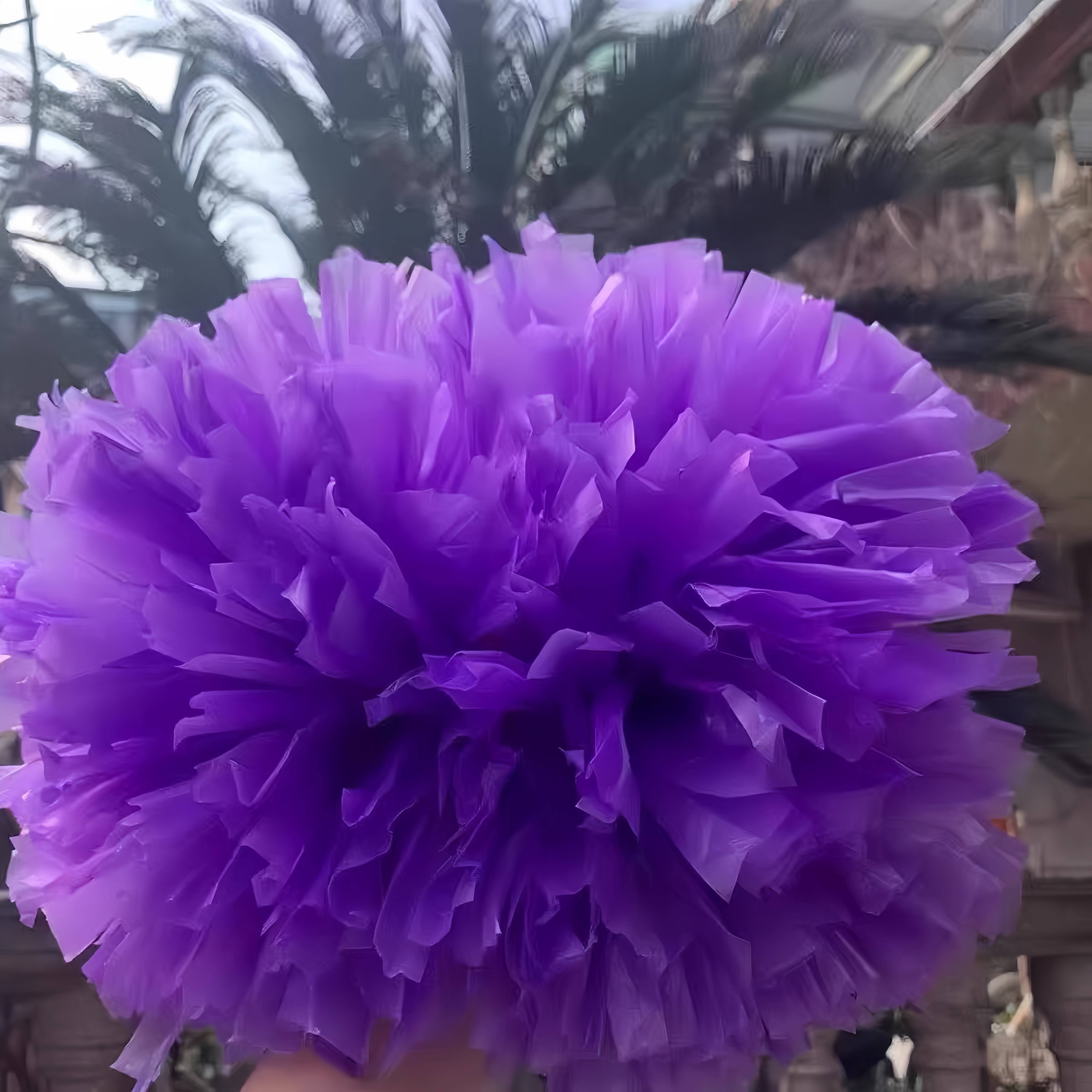 Professional game la la la la la la la la (hand flower color ball, Lala ball colorful cheerleader dance performance bodybuilding