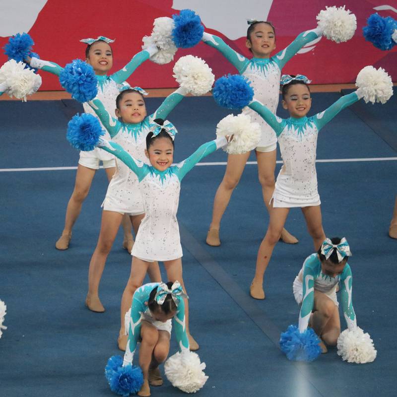 Custom cheerleading competition clothing cheerleading team clothing competitive gymnastics clothing gymnastics clothing adult 22 new girl
